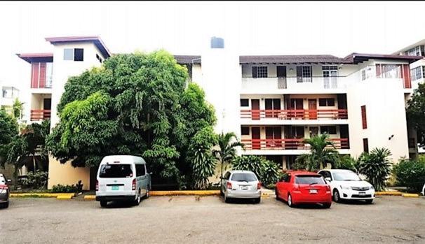 The Mango Lodge Kingston Exterior photo
